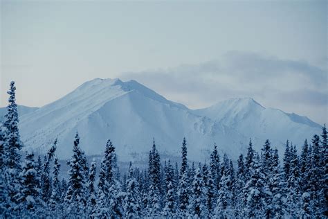 Yukon .